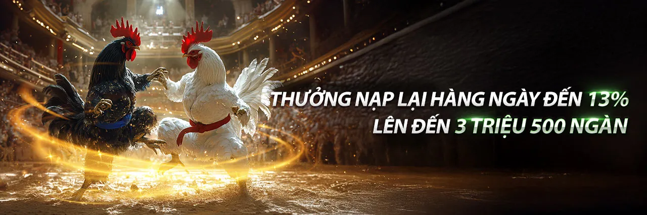 Đấu trường đá gà trực tuyến m99 Đá Gà sôi động
