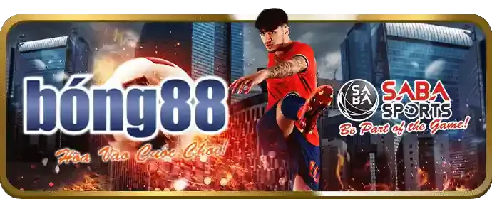 Ưu đãi đá gà